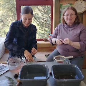 Andrea and Ann cleaning seeds