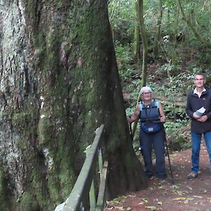 Botanising with Cathy Jones