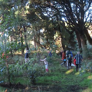 Planting in the Oreti Totara Dune Forest
