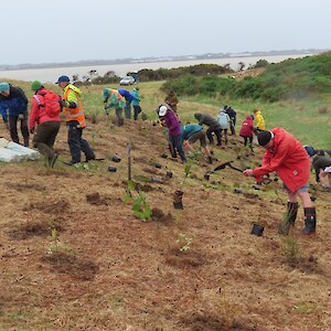 Planting Day 2025
