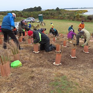 Planting Day 2024