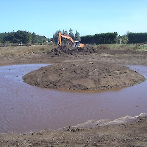 Pond “Before”