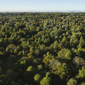 “After” - at Bushy Point the same view in 2025