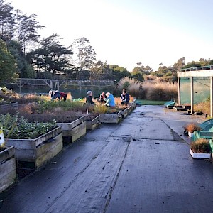 Nursery last Friday