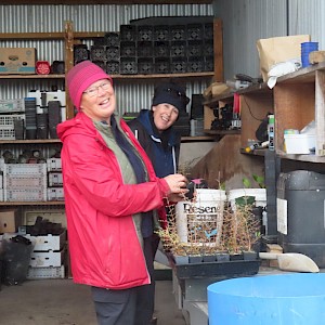 Volunteer Fridays - Bernadette and Tracey happy in their work!!