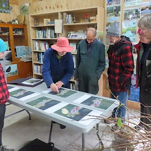 Ann explaining the Castledown Wetland project